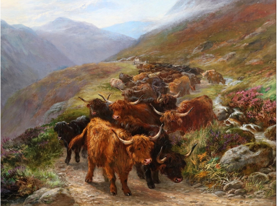 oil painting showing a herd of black cattle and ginger cattle coming through a mountainous Highland pass with mountains in the background